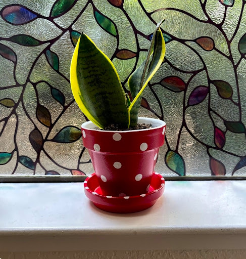 Hand-painted garden art by Happy Moose Garden Art