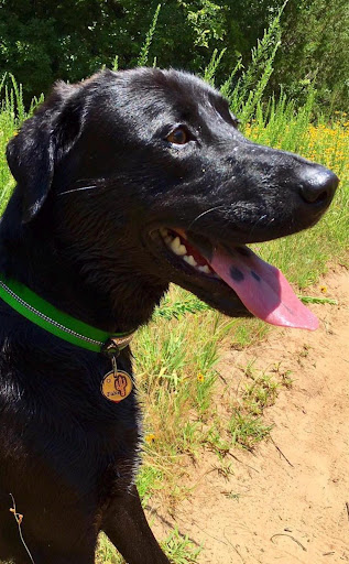 Personalized pet memorial planter for JAKE - October 2025