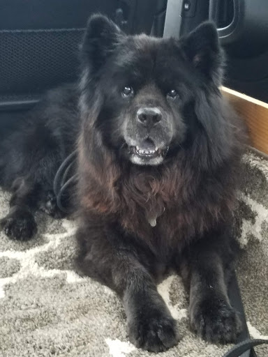 Personalized pet memorial planter for OSCAR - October 2025