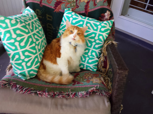 Bart