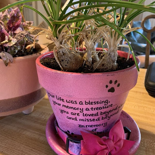 Hot Pink pet memorial planter color option