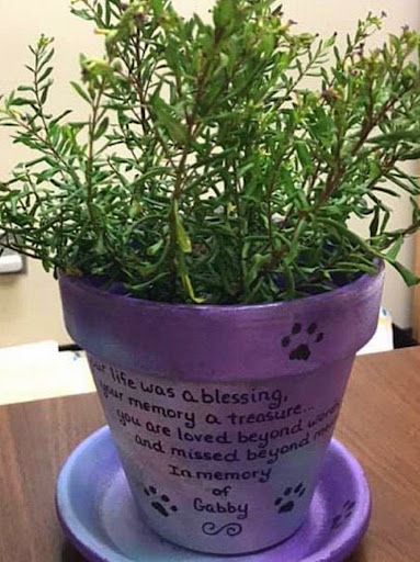 Deep Purple pet memorial planter color option